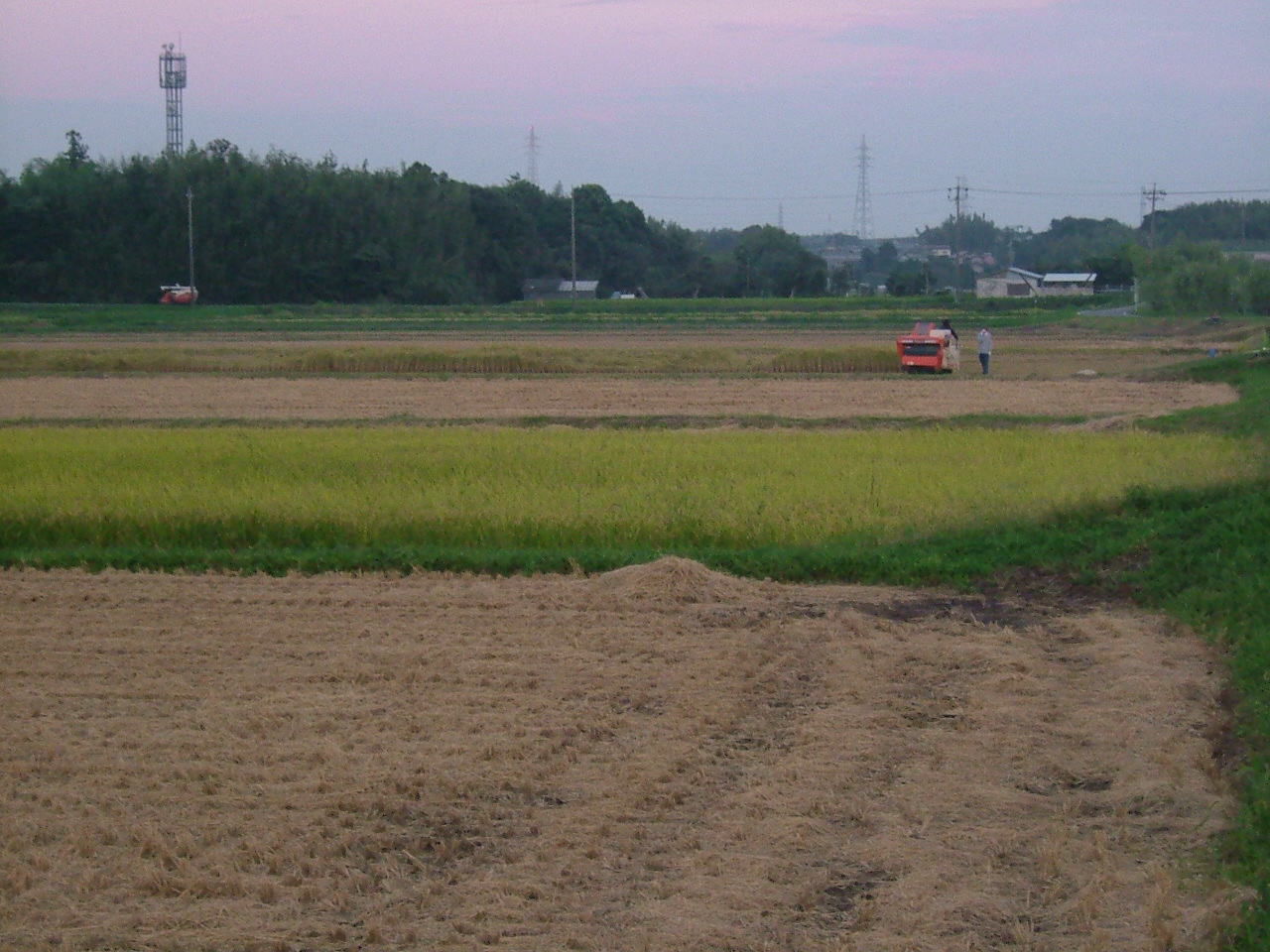 b0062214_21205814.jpg
