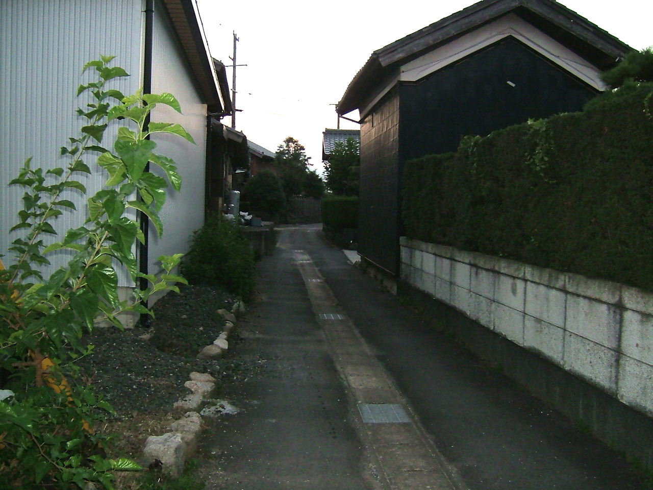 b0062214_2128826.jpg
