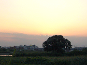 d0042618_0492399.jpg
