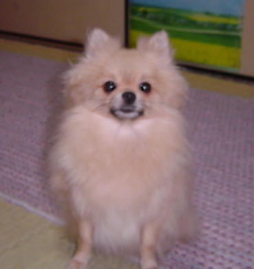 f0012924_605799.jpg