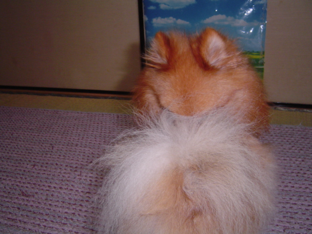 f0012924_615240.jpg