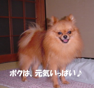 f0012924_634565.jpg