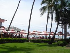 f0045530_8393656.jpg