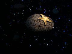 e0005548_23204755.jpg