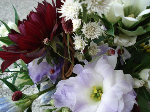f0041850_17444454.jpg
