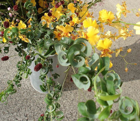 f0041850_1841325.jpg