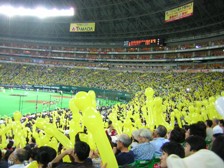 c0081552_2248105.jpg