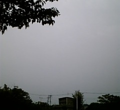 f0014371_16412152.jpg