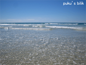 f0015072_091440.gif
