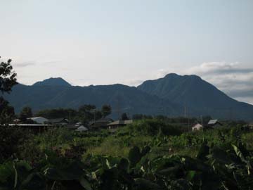 d0070473_838283.jpg