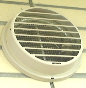 f0039281_20515763.jpg