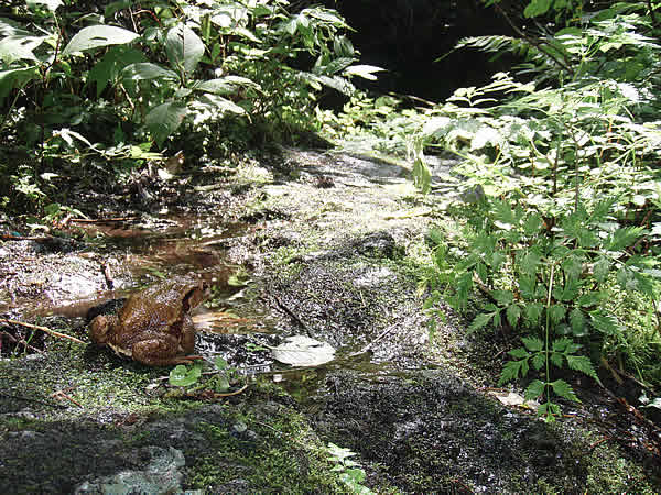 f0087787_2385729.jpg