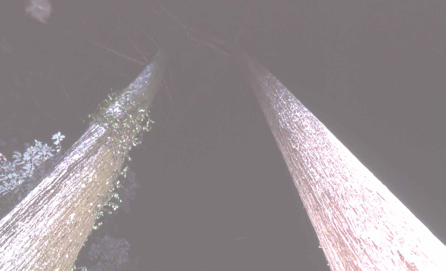 f0047593_15474041.jpg
