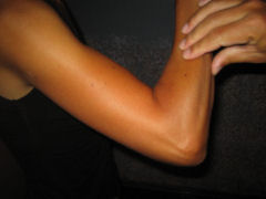 b0043897_802134.jpg