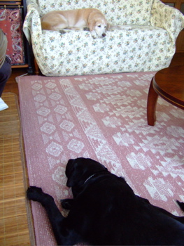 f0001698_1344516.jpg