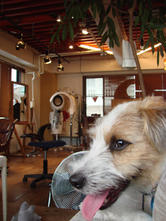 f0080105_20283923.jpg