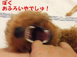 a0007906_9124338.jpg