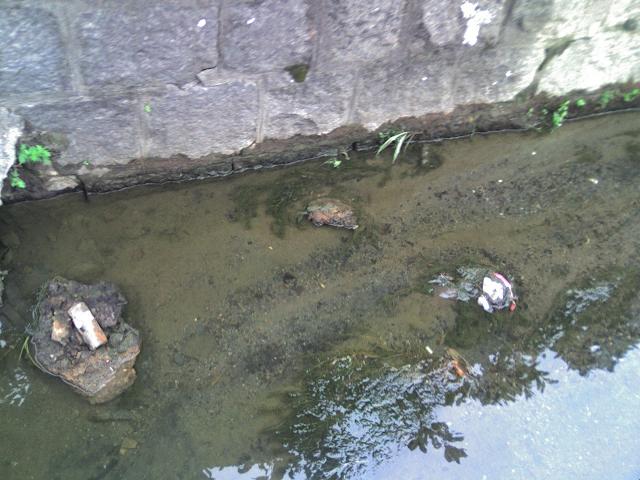 b0048509_20311491.jpg