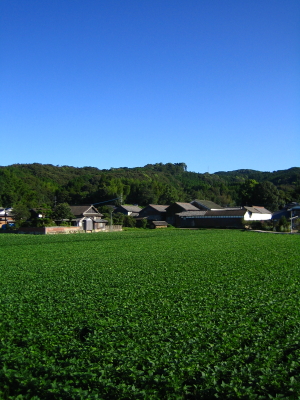 d0047811_23533071.jpg