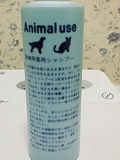 f0014416_2033778.jpg