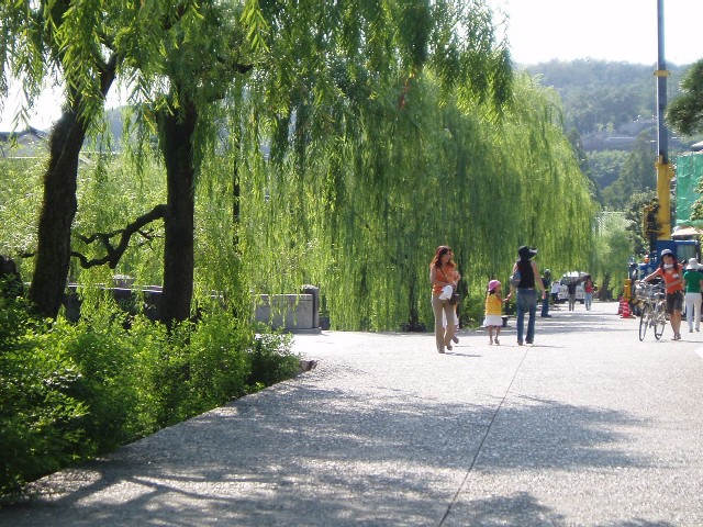 e0019018_1252484.jpg