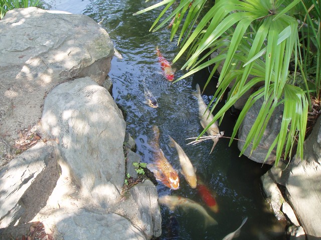 e0019018_1262648.jpg