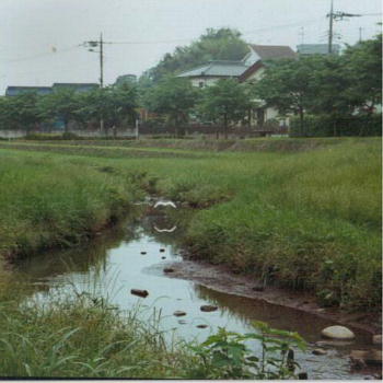 b0088039_2223670.jpg