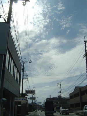 f0042548_2312442.jpg