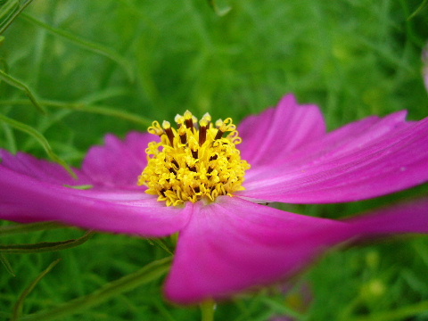 b0015260_10105951.jpg