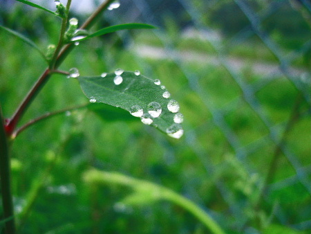 b0015260_10124447.jpg