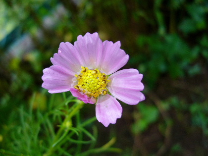b0015260_9174834.jpg