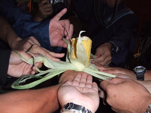 c0048667_12541145.jpg