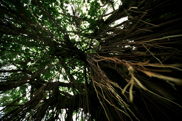 f0068569_2394895.jpg