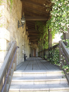f0055380_22525519.jpg