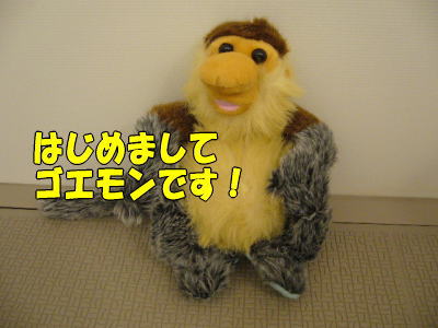 b0041182_22252147.jpg