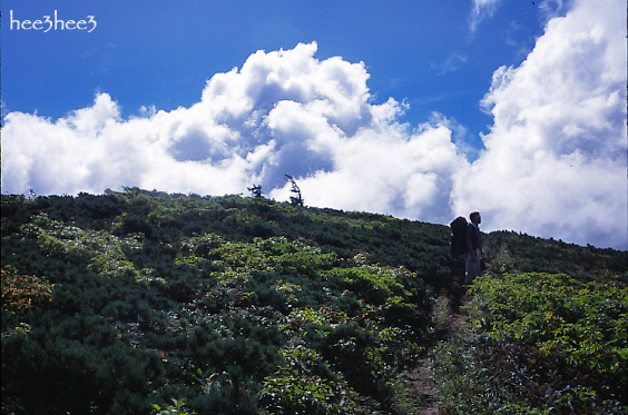 a0053783_12424329.jpg