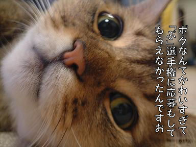 a0045990_1294273.jpg