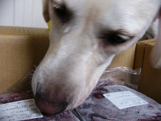 a0039299_2043135.jpg