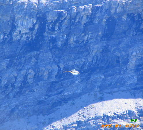 b0051109_927632.jpg