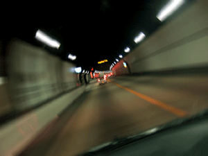 a0055913_8483342.gif