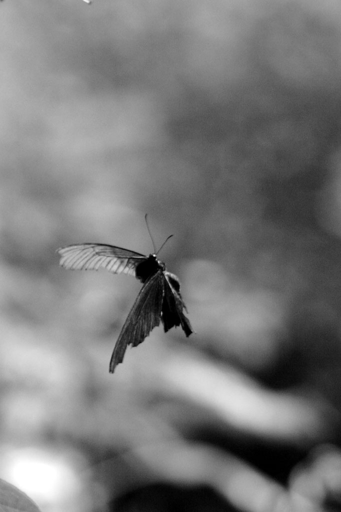 d0085715_052228.jpg