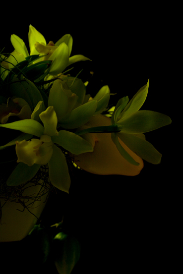 f0100215_1213939.jpg