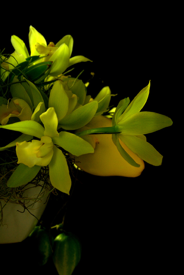 f0100215_1251626.jpg