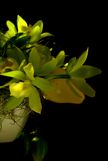 f0100215_1253388.jpg