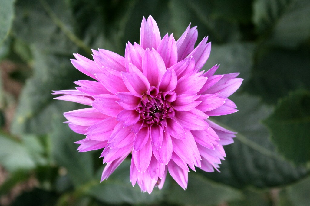 a0004023_2175535.jpg