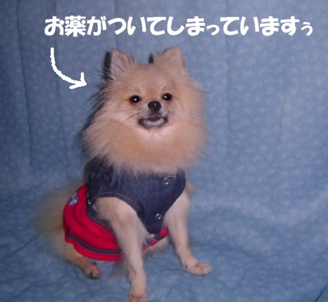 f0012924_7451455.jpg