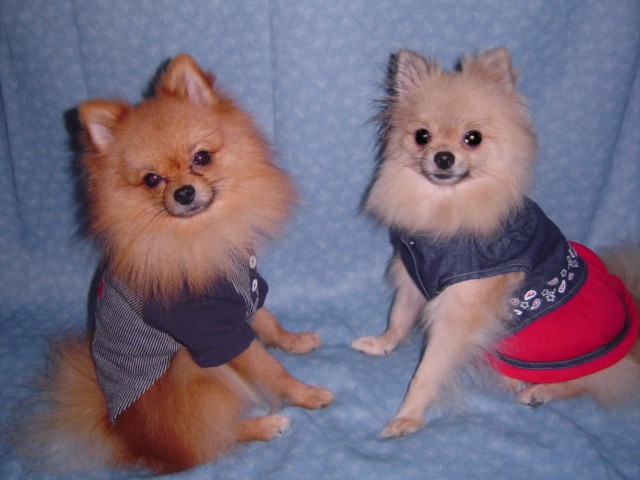 f0012924_7492059.jpg