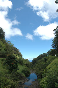 d0023725_413425.jpg