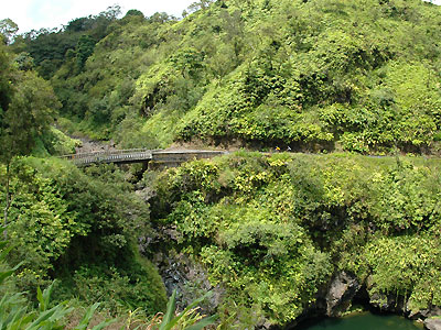 d0023725_4375590.jpg