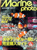 b0044726_7445270.jpg
